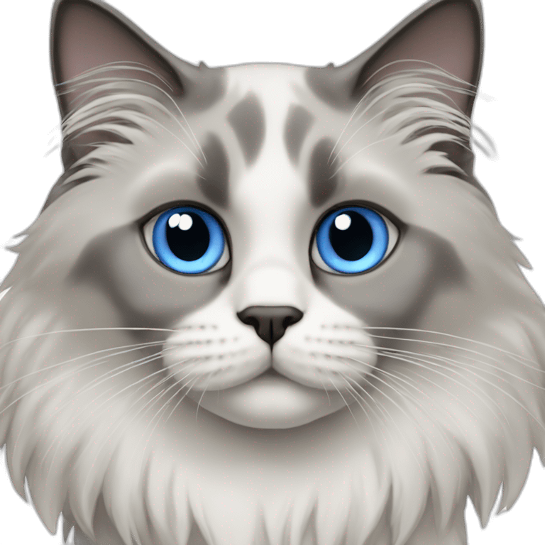 blue eyed ragdoll cat grey muzzle emoji