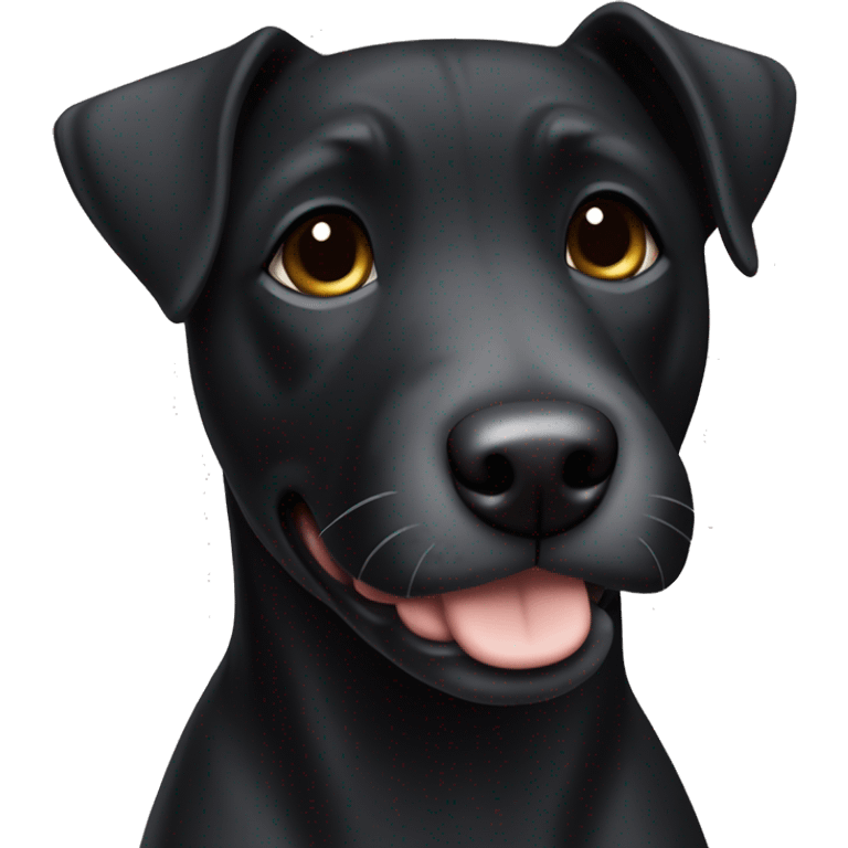 A black Patterdale Terrier dog with a white patch on its chest and brown eyes. emoji