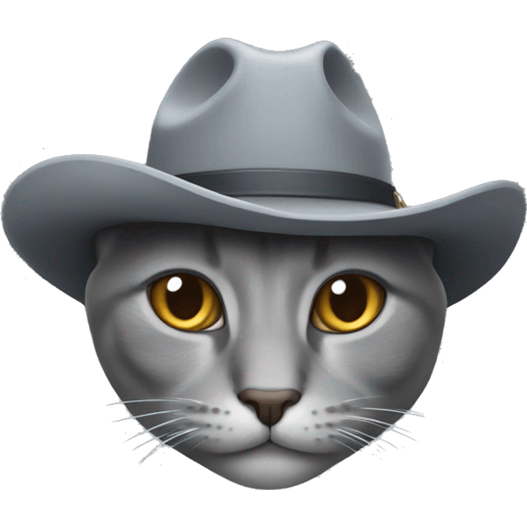 Grey cat with a cowboy hat emoji