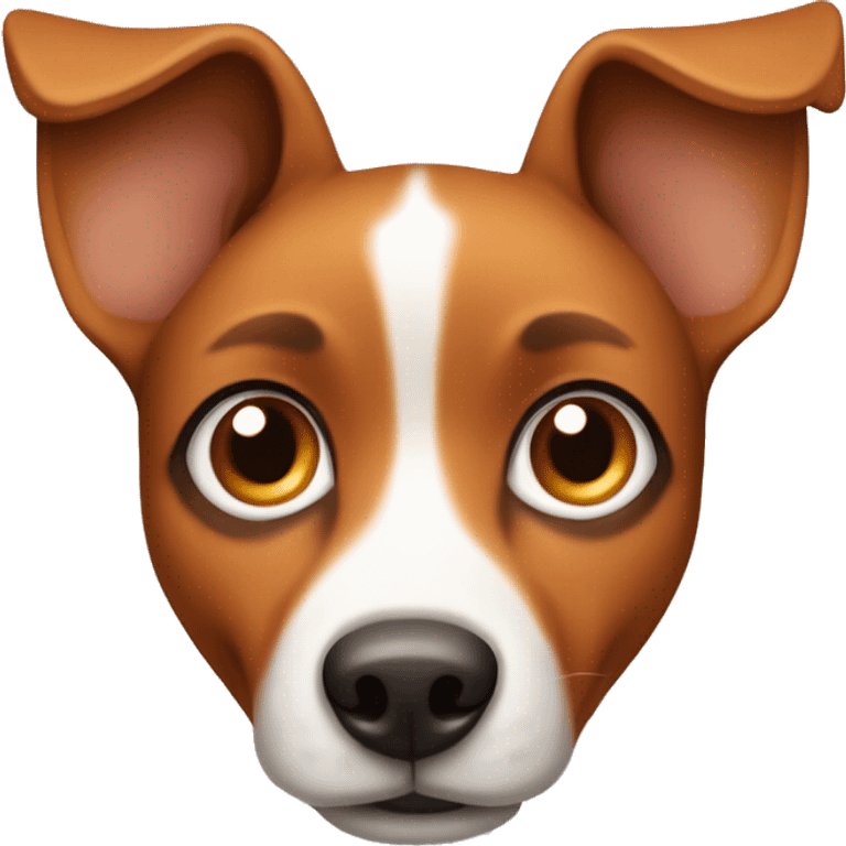 Orange brown Street dog with big pointy ears big eyes and a white nose emoji