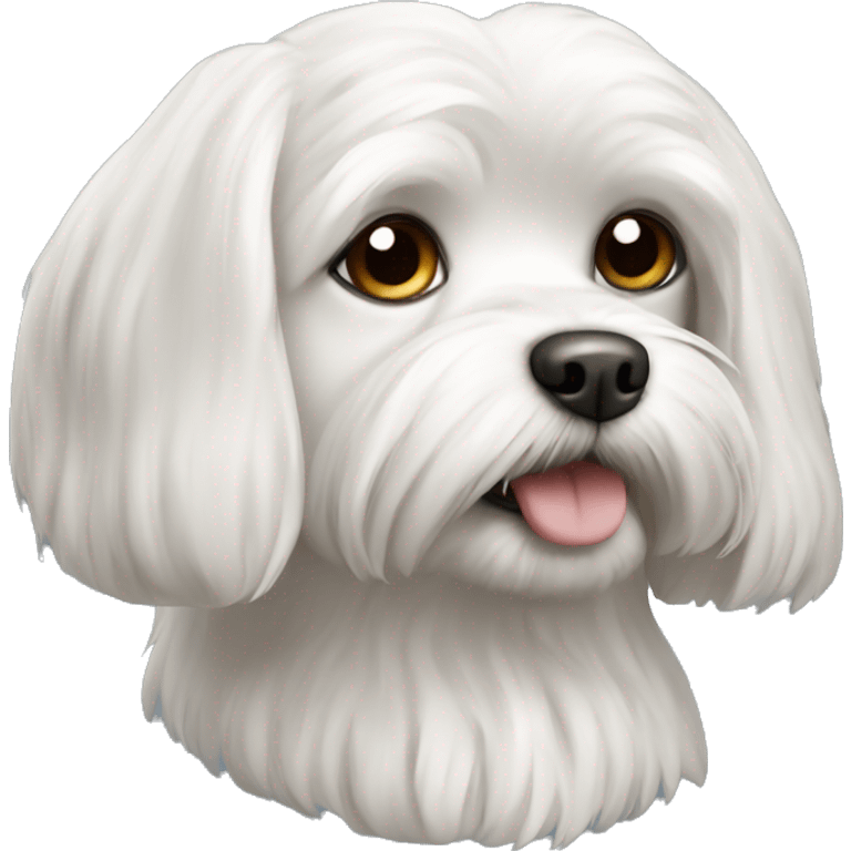 Dog maltese emoji