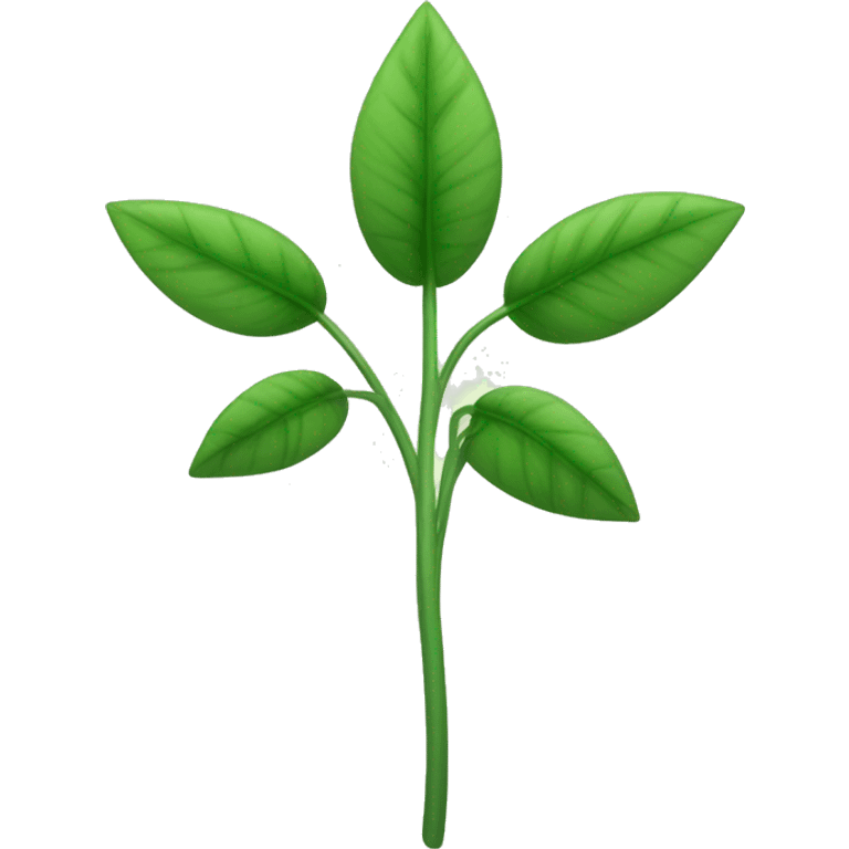  a plant with a thin, slightly hairy green stem. The leaves are oval, pointed, slightly serrated, and dark green in color. They are arranged in opposite pairs along the stem. emoji