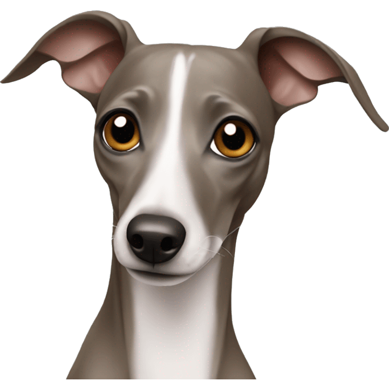 Italian greyhound emoji