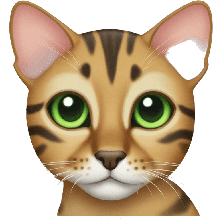 Bengal cat with green eyes  emoji