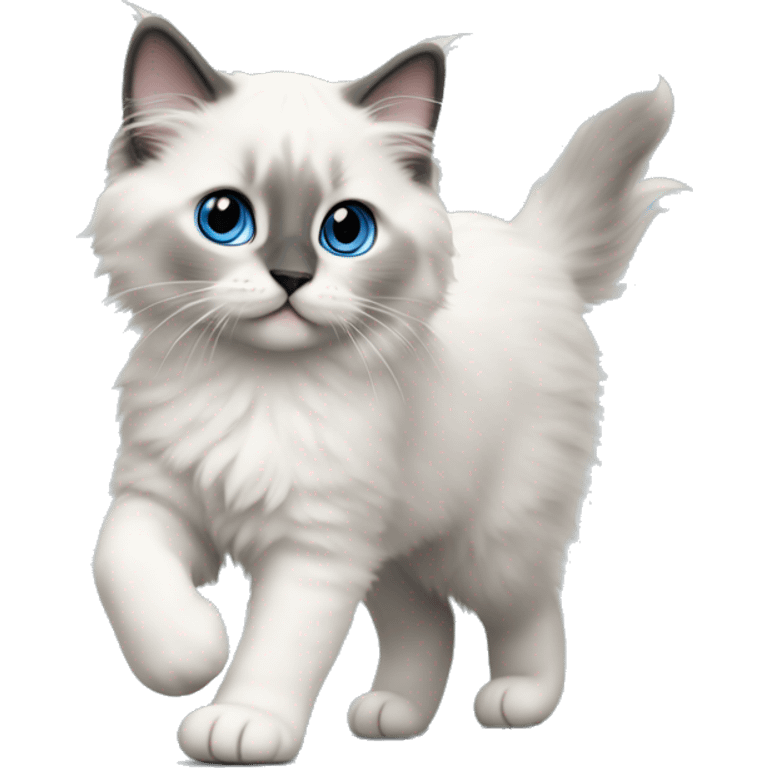 blue point ragdoll kitten walking  emoji