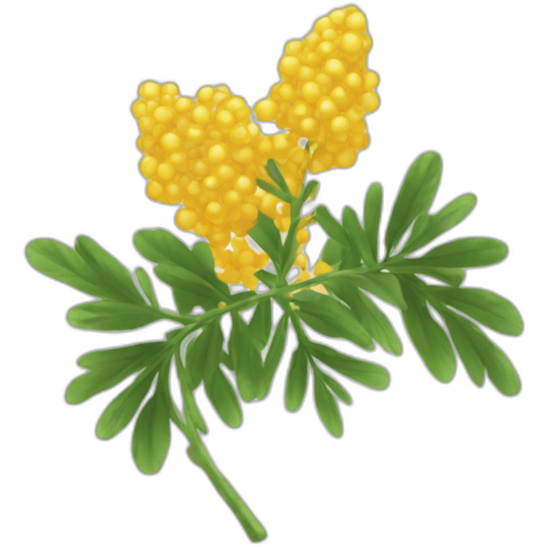 mimosa emoji