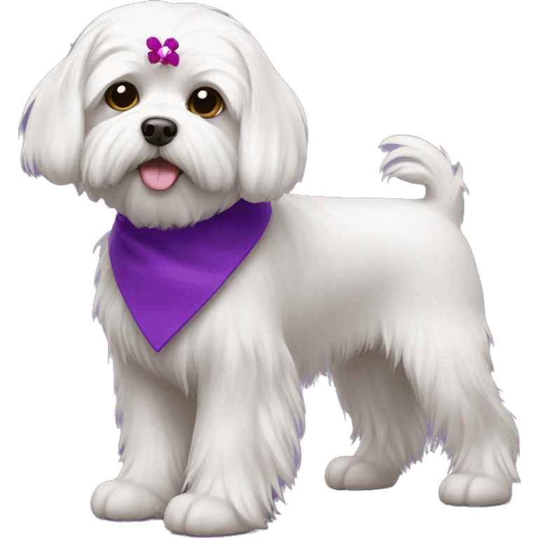 Maltese dog with purple collar emoji