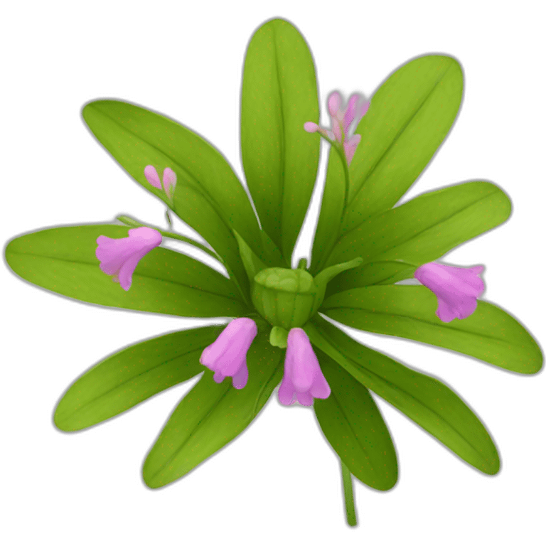 lavndula flower plant emoji