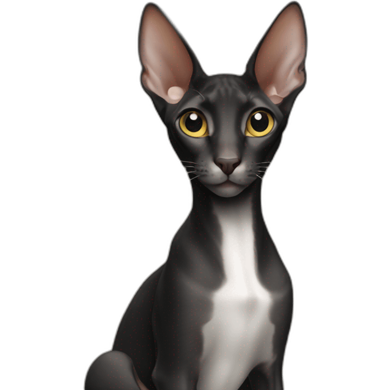 Black oriental shorthair emoji