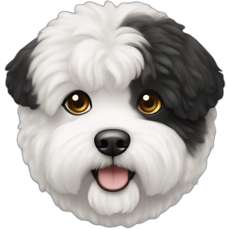 bichon-havanais-black-half-white-head emoji