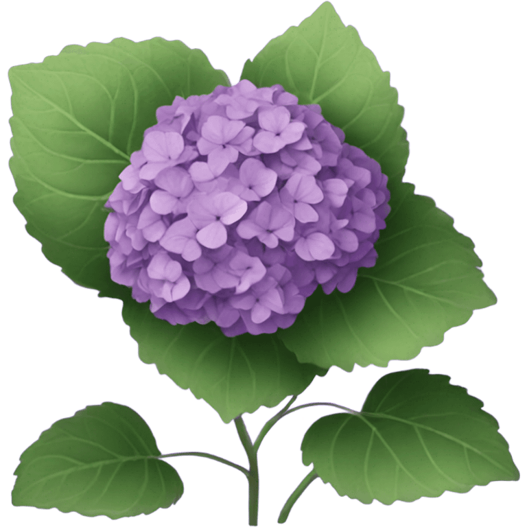 Purple hydrangea  emoji