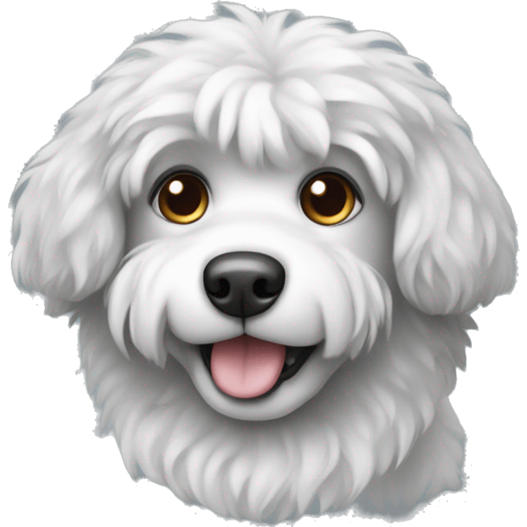 Fluffy white and grey dog emoji