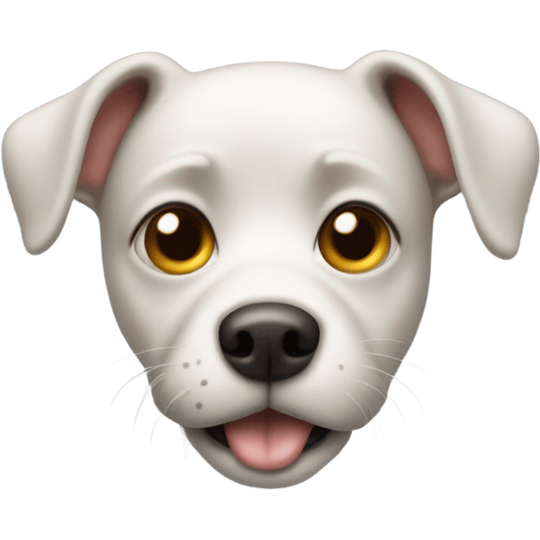 A dog farting and surprised emoji