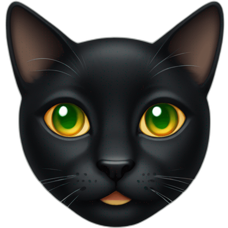 black cat with green and orange eyes emoji