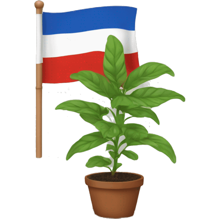 Noreigan flag with a small plant in front (no soil or pot). emoji