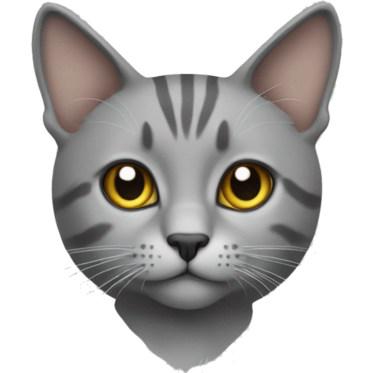 Cat grey bkh  emoji