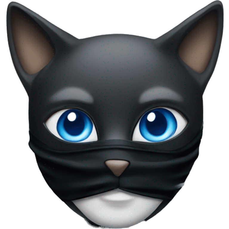 A cat wearing a black mask with 2 blue eyes emoji