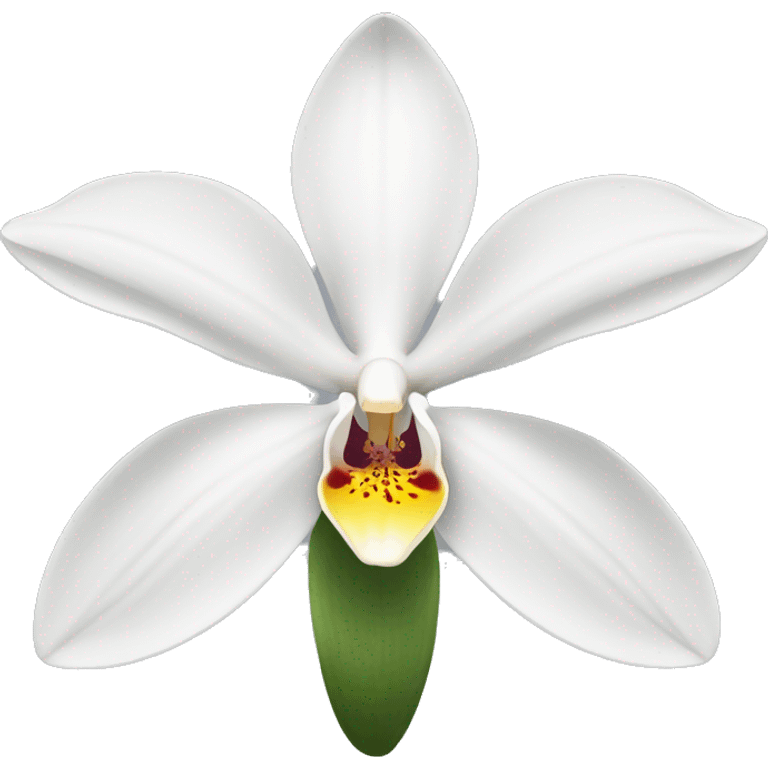 a white orchid  emoji