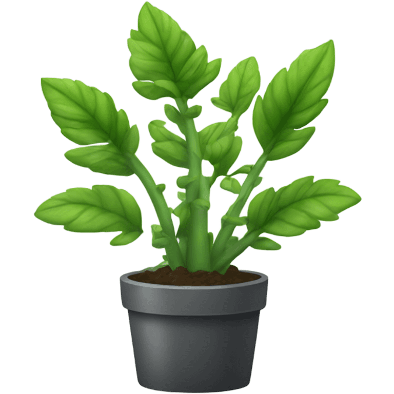 Plant zamiokulkas emoji