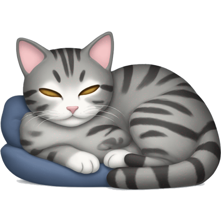 cat sleeping gray tabby emoji