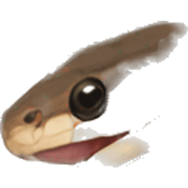 Brown ball python  emoji