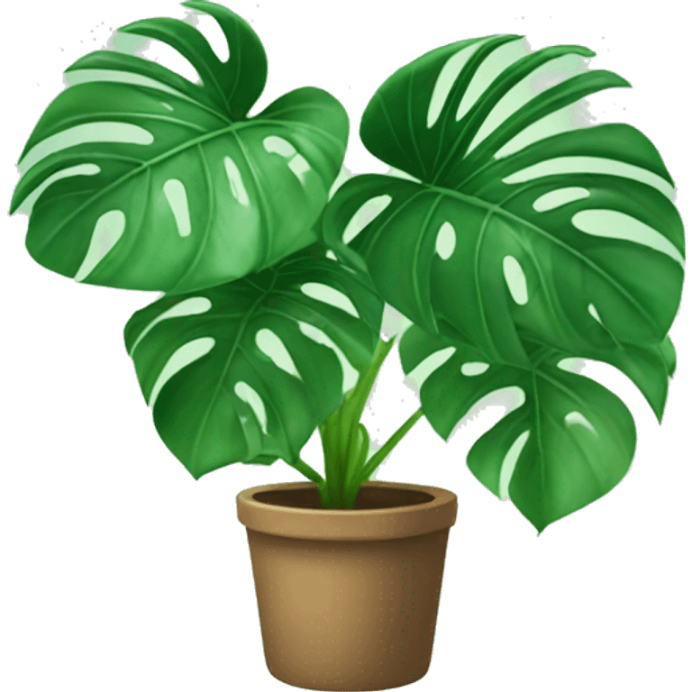 Monstera plant emoji