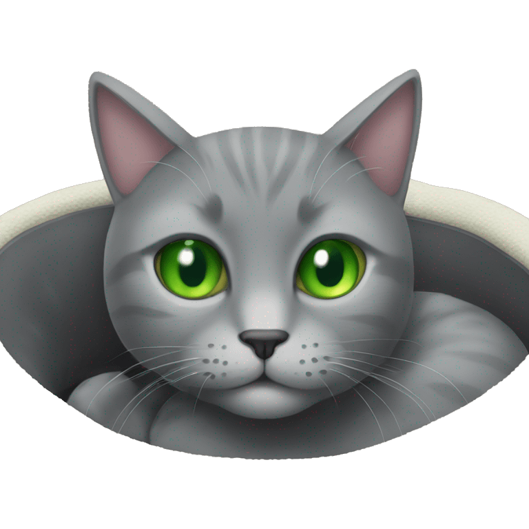 green eyed solid gray cat on a cat bed emoji