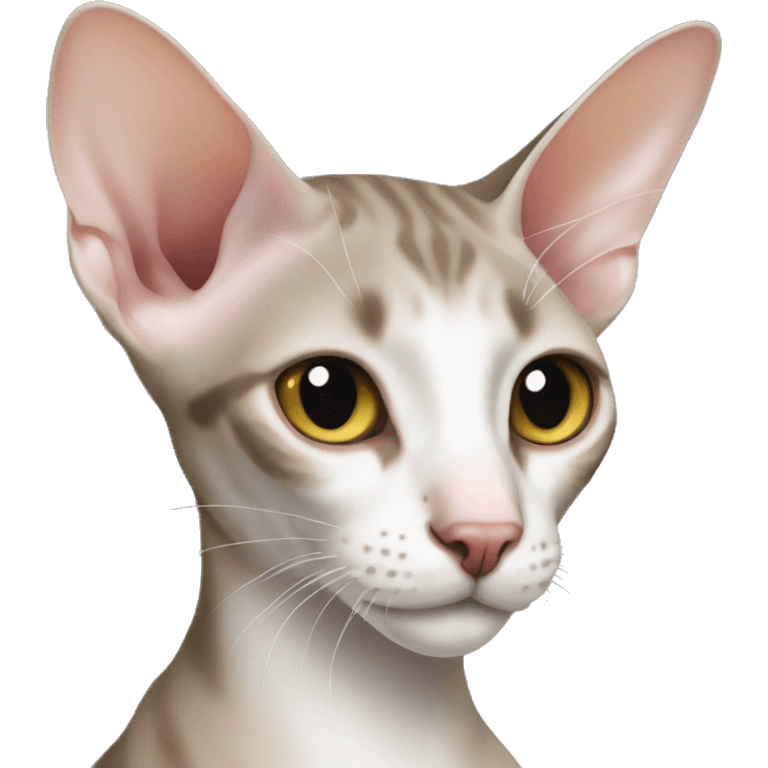 Oriental Shorthair Cats emoji