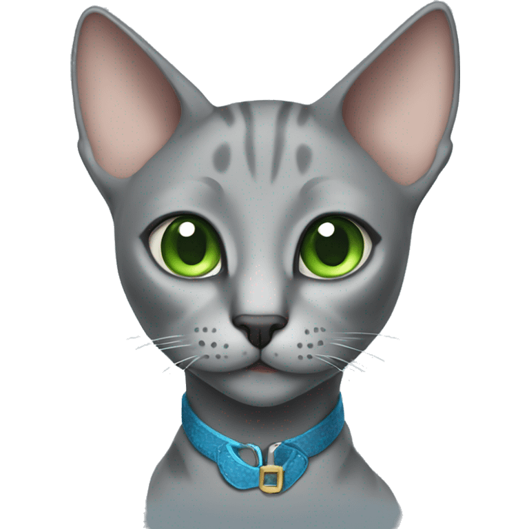 grey oriental cat with green eyes and blue collar emoji