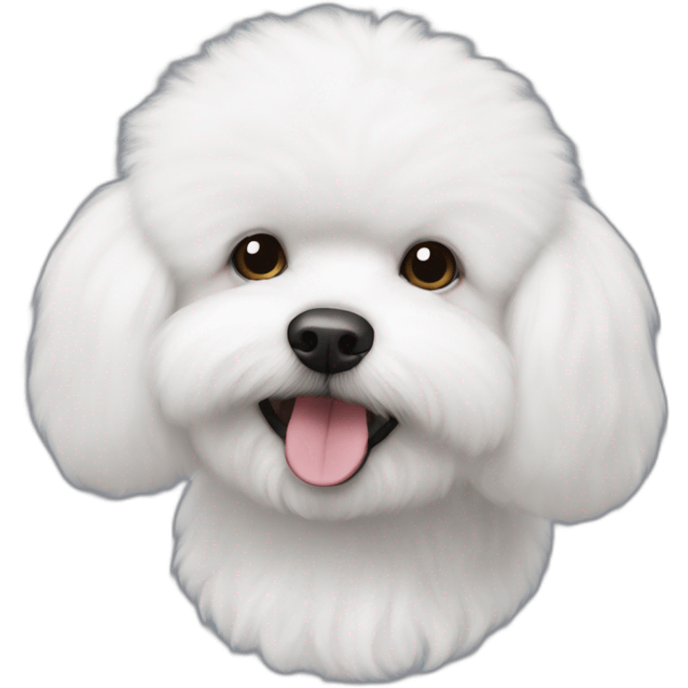 rounded-head-fluffy-bichon-frise emoji