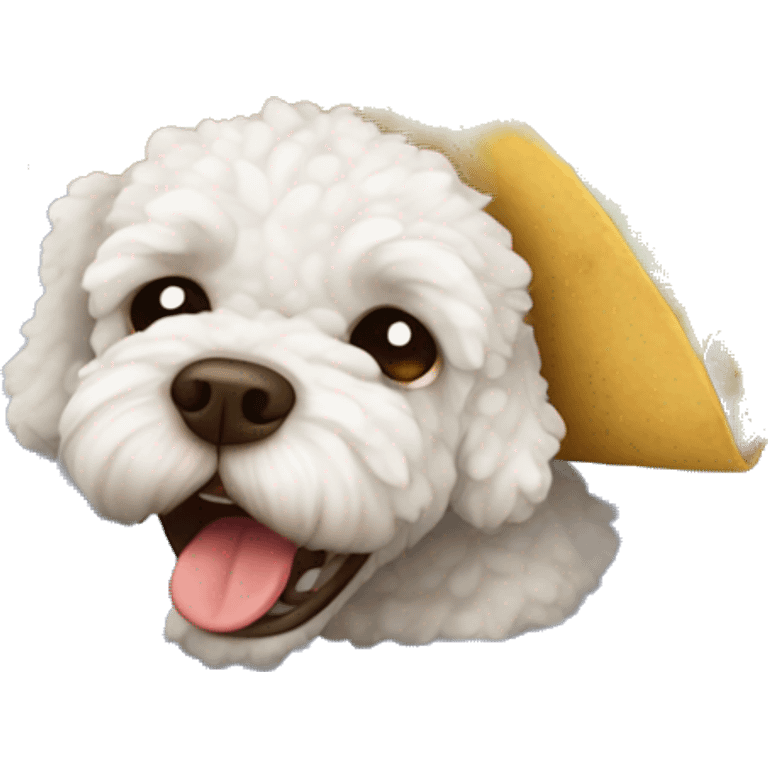 Lagotto dog crying over a taco emoji