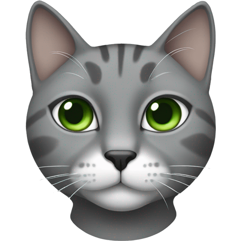 Gray cat with white neck, chin, and nose stripe, green eyes and black nose emoji