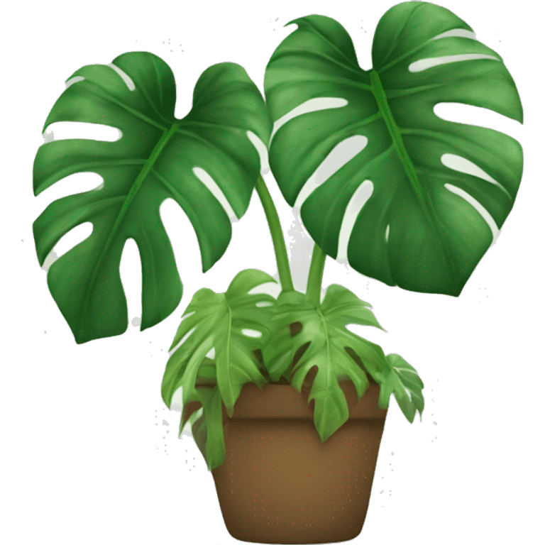 Monstera Albo emoji