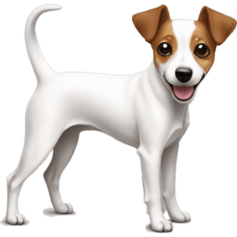  jack russell tutto bianco pinscher emoji