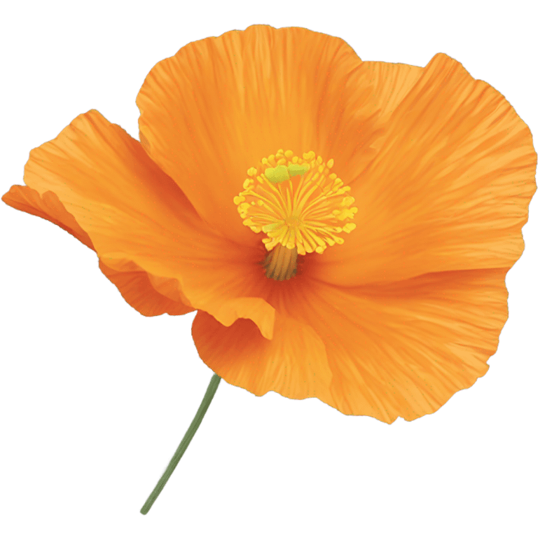 California poppy emoji