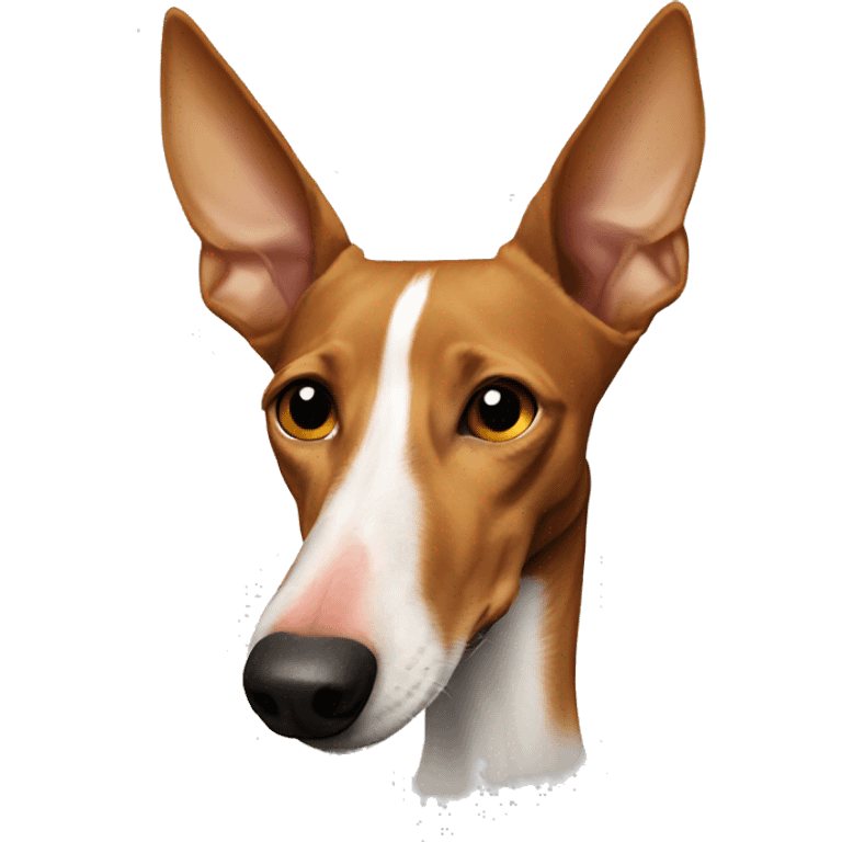 Podenco punk nose emoji