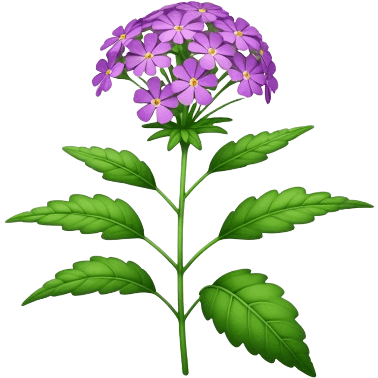 big single verbena flower, leaf emoji