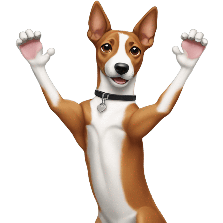 Basenji holding his arms up emoji