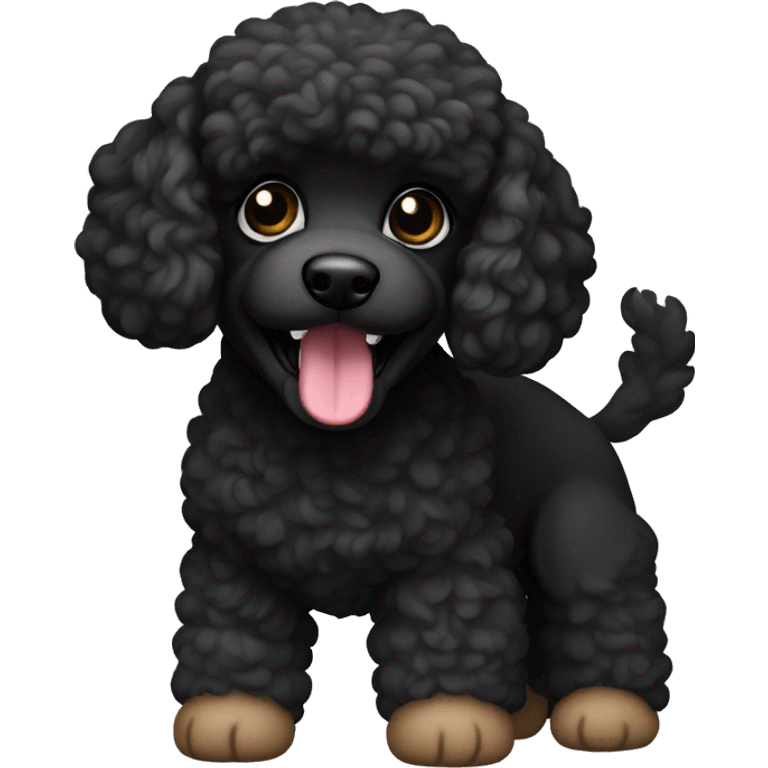 Small poodle mix. All black in color everywhere. No other color. Underbite with teeth showing  emoji