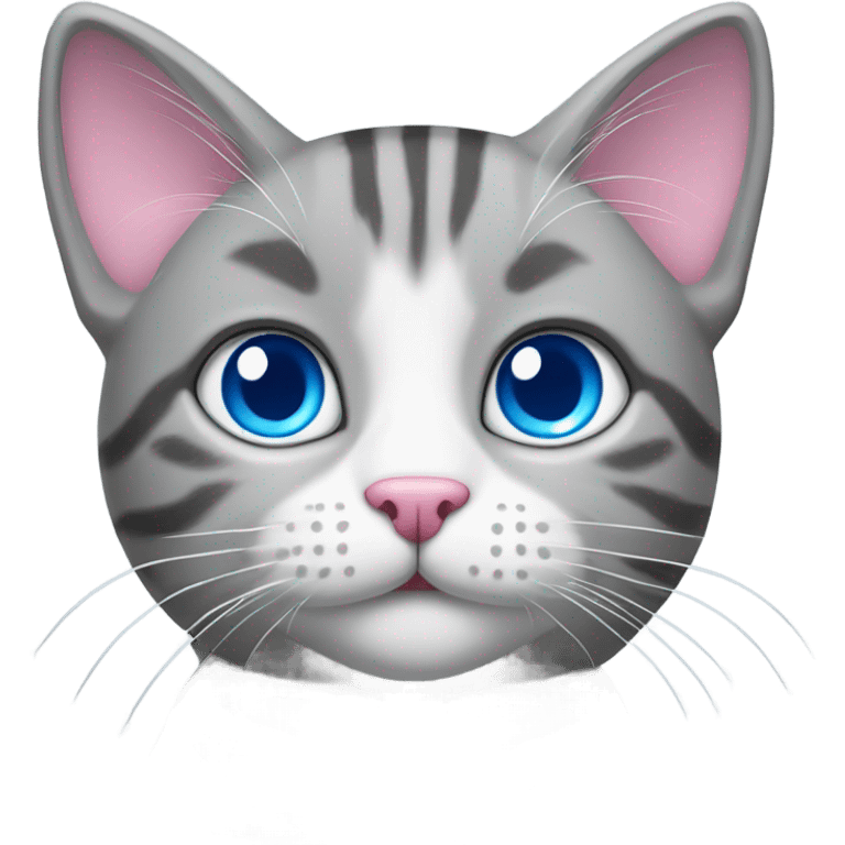 Grey and white tabby cat with blue eyes with a pink nose emoji