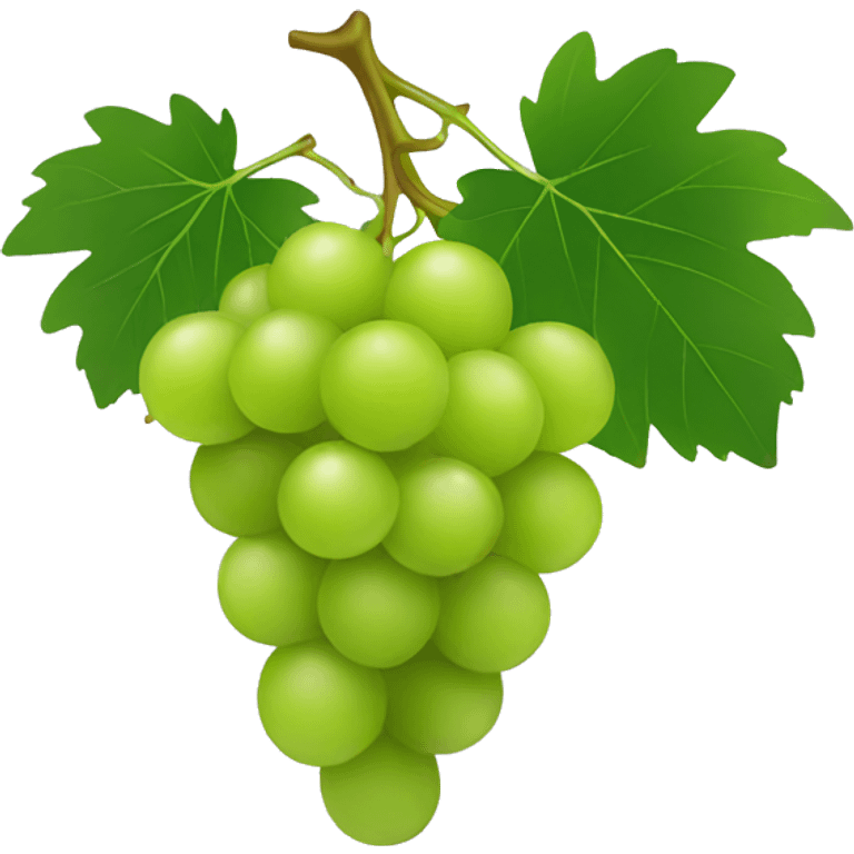 Green grapes emoji