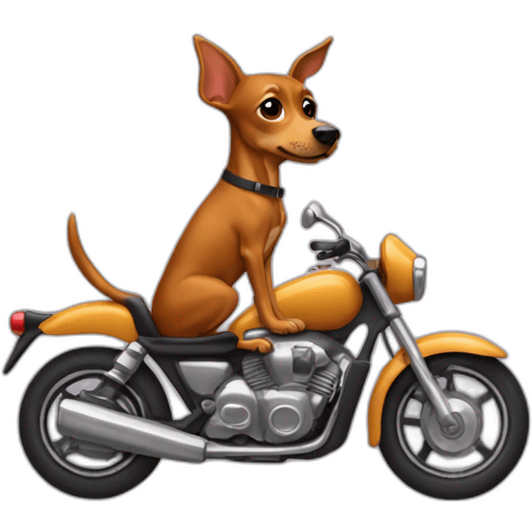 caramel-color-pinscher-dog-driving-a-motorcycle emoji