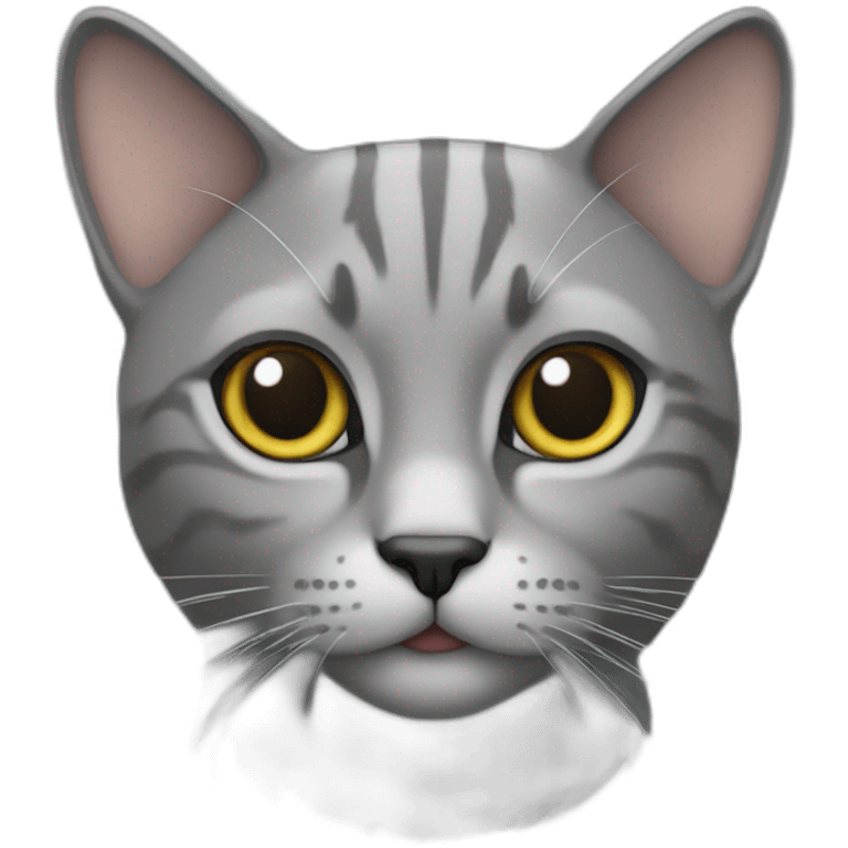 Cat-grey-annoid emoji