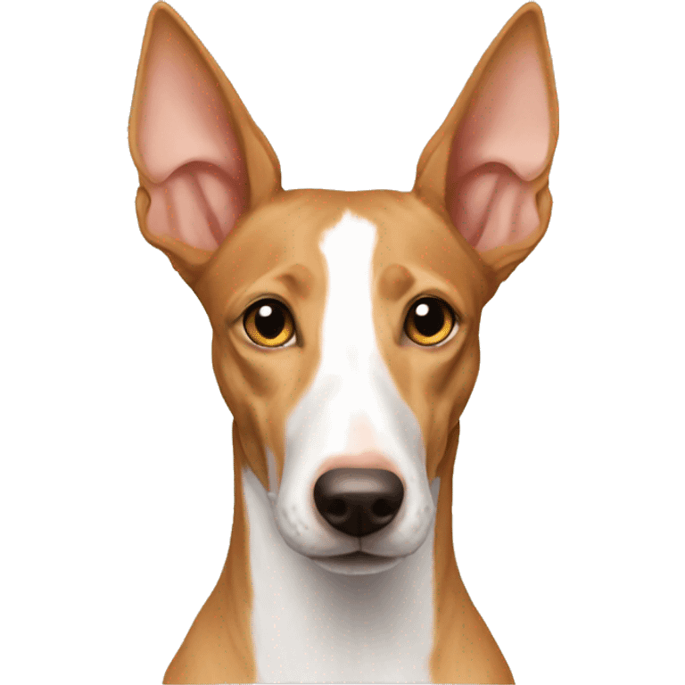 Podenco b emoji