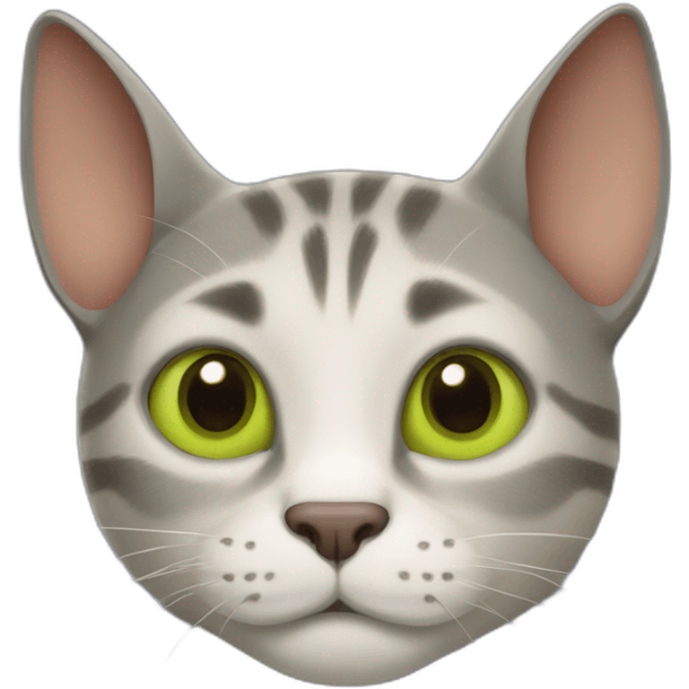 shrek cat emoji