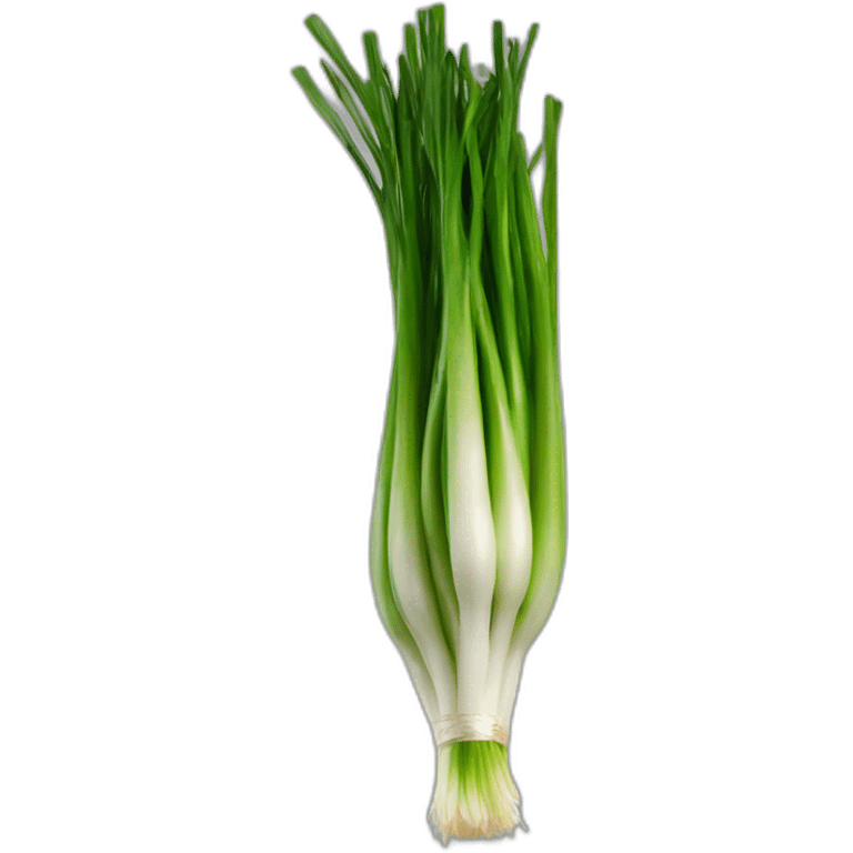 dr spring onion emoji