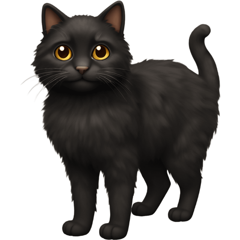 black fluffy cat with brown fur parts emoji