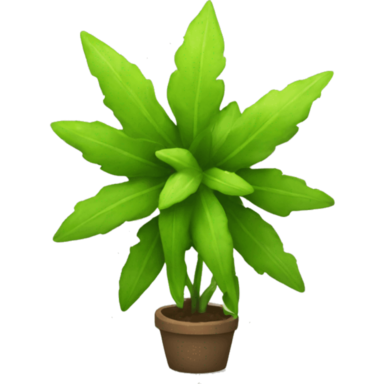 star shaped plant emoji