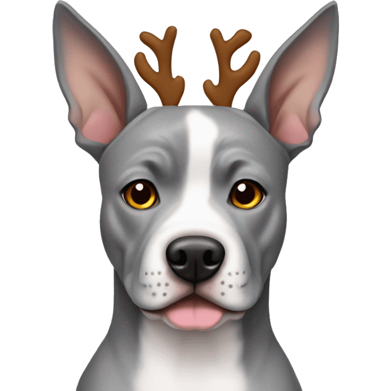 grey amstaff wearing raindeer ears emoji