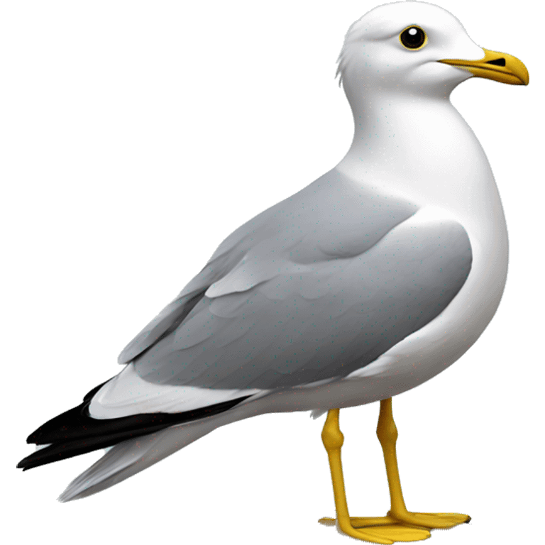 Common gull emoji